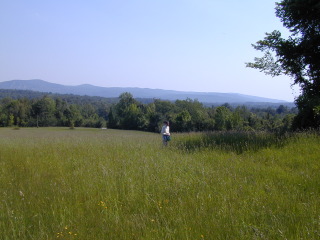 Julia in field
